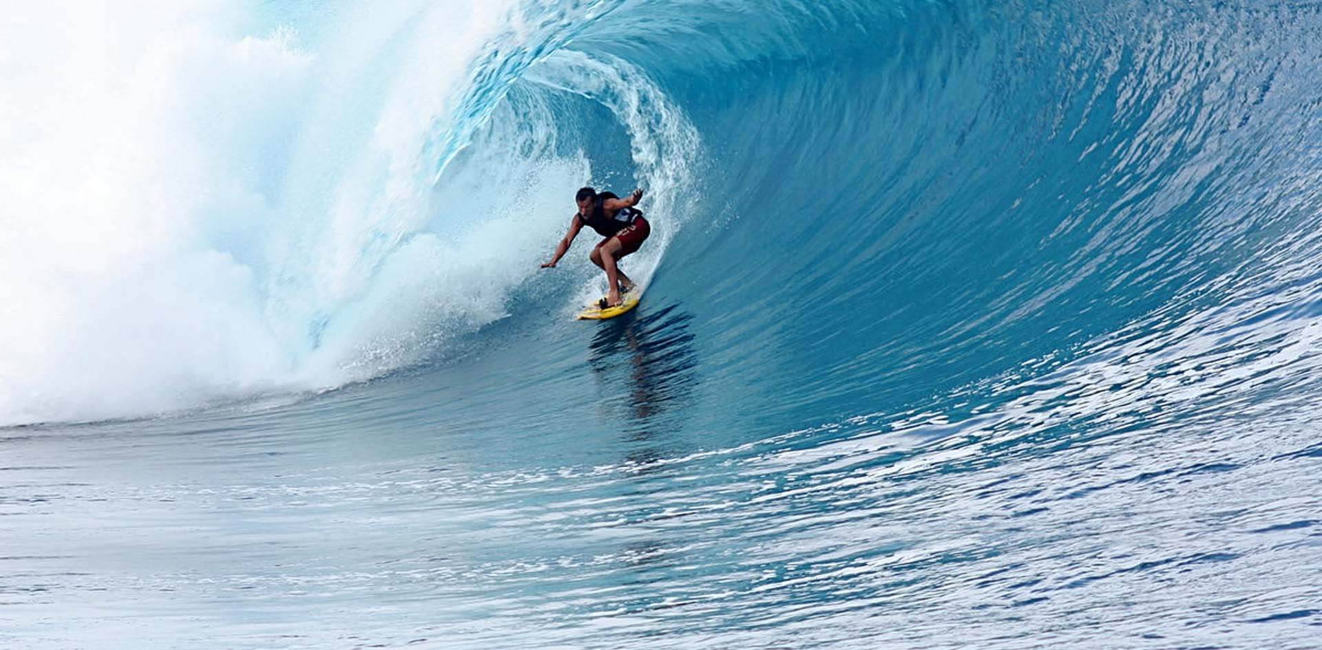 référencement payant